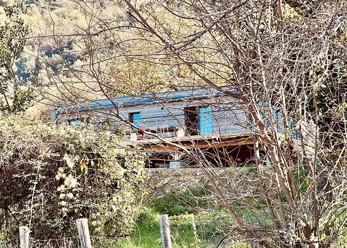 Charmante Maison Bois T3 Dağ evi Ucciani